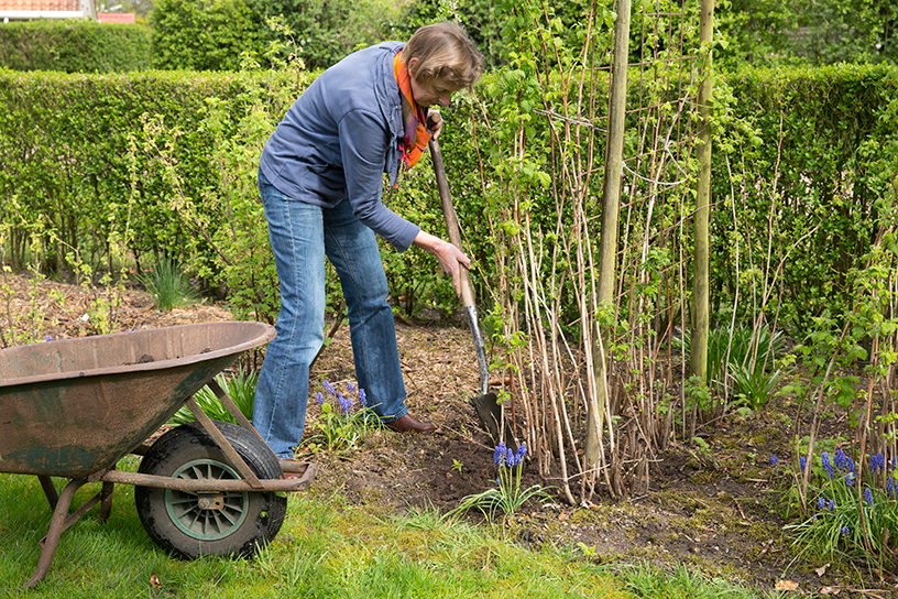 Tineke Hoekstra aan het werk in haar tuin